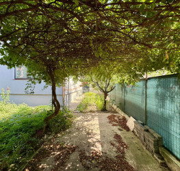 Casa, 4 camere, 170 mp Ilfov/Tunari