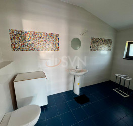 Casa, 4 camere, 170 mp Ilfov/Tunari