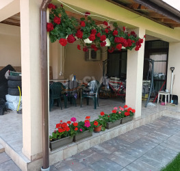 Casa, 4 camere, 180 mp Bucuresti/Giulesti