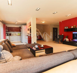 Casa, 4 camere, 234 mp Ilfov/Bragadiru