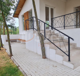 Casa, 4 camere, 320 mp Ilfov/Tancabesti