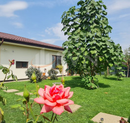Casa, 4 camere, 90 mp Ilfov/Corbeanca