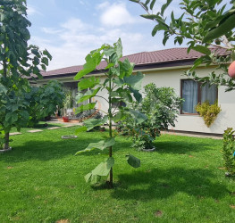 Casa, 4 camere, 90 mp Ilfov/Corbeanca