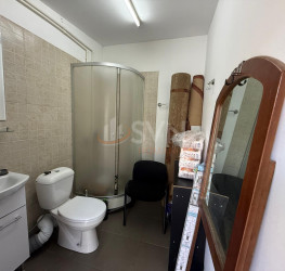 Casa, 4 rooms, 105 mp Bucuresti/Bucurestii Noi