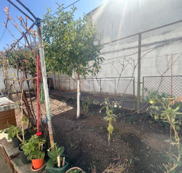 Casa, 4 rooms, 155 mp Bucuresti/Polona