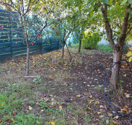 Casa, 4 rooms, 155 mp Ilfov/Otopeni