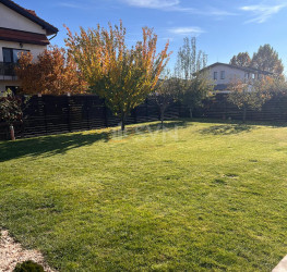 Casa, 4 rooms, 180 mp Ilfov/Otopeni
