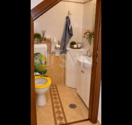 Casa, 4 rooms, 190 mp Bucuresti/Iancu Nicolae