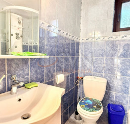 Casa, 4 rooms, 243.77 mp Bucuresti/Iancu Nicolae