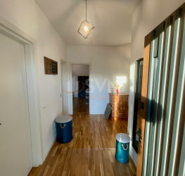 Casa, 5 camere, 150 mp Ilfov/Corbeanca