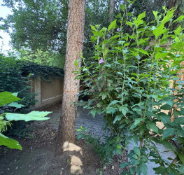 Casa, 5 camere, 160 mp Bucuresti/Casin