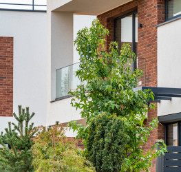 Casa, 5 camere, 177 mp Ilfov/Snagov