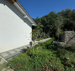 Casa, 5 camere, 198.7 mp Ilfov/Balotesti
