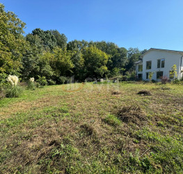Casa, 5 camere, 198.7 mp Ilfov/Balotesti