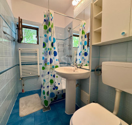 Casa, 5 camere, 210 mp Bucuresti/P-ta Presei Libere