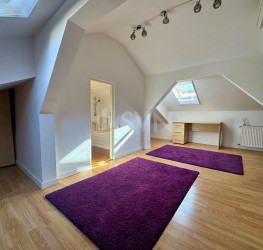 Casa, 5 camere, 210 mp Bucuresti/P-ta Presei Libere