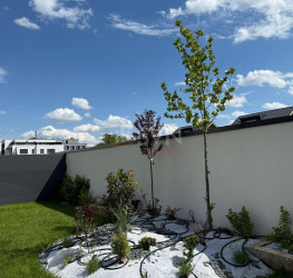 Casa, 5 camere, 220 mp Ilfov/Voluntari