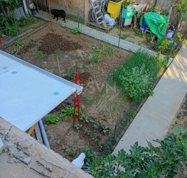 Casa, 5 rooms, 120 mp Bucuresti/Colentina