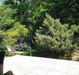 Casa, 5 rooms, 130 mp Bucuresti/Baneasa