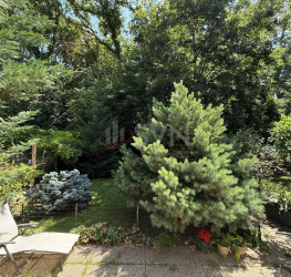Casa, 5 rooms, 130 mp Bucuresti/Baneasa