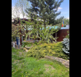 Casa, 5 rooms, 150 mp Dambovita/Centru