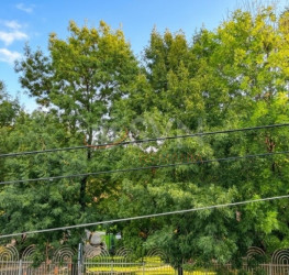 Casa, 5 rooms, 150 mp Bucuresti/Tei
