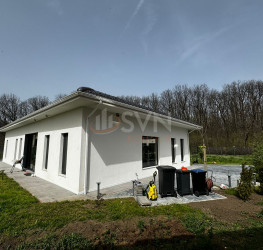 Casa, 5 rooms, 154 mp Ilfov/Balotesti