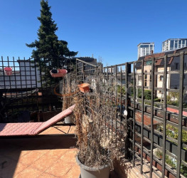 Casa, 5 rooms, 155 mp Bucuresti/Floreasca