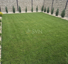 Casa, 5 rooms, 170 mp Ilfov/Tunari