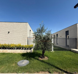 Casa, 5 rooms, 179 mp Ilfov/Corbeanca