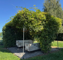 Casa, 5 rooms, 215 mp Bucuresti/Pipera