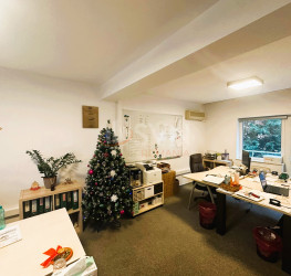 Casa, 5 rooms, 216.65 mp Bucuresti/Domenii