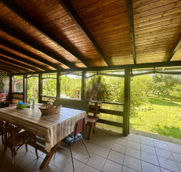 Casa, 5 rooms, 298 mp Ilfov/Balotesti
