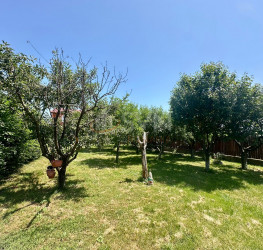 Casa, 5 rooms, 298 mp Ilfov/Balotesti