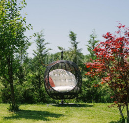 Casa, 5 rooms, 300 mp Ilfov/Balotesti