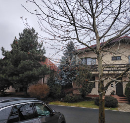 Casa, 6 camere, 200 mp Ilfov/Corbeanca