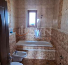 Casa, 6 camere, 203 mp Ilfov/Pantelimon