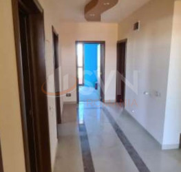 Casa, 6 camere, 203 mp Ilfov/Pantelimon