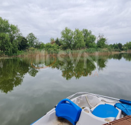 Casa, 6 camere, 300 mp Ilfov/Snagov