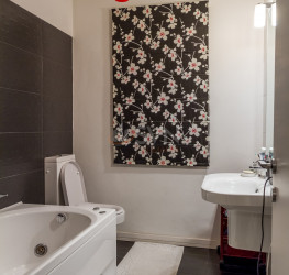 Casa, 6 camere, 317 mp Bucuresti/Bucurestii Noi