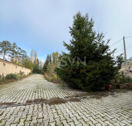 Casa, 6 camere, 350 mp Ilfov/Buftea