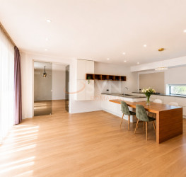 Casa, 6 camere, 400 mp Bucuresti/Iancu Nicolae