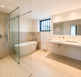 Casa, 6 camere, 400 mp Bucuresti/Iancu Nicolae