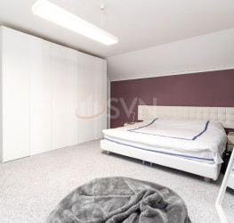 Casa, 6 rooms, 259 mp Ilfov/Corbeanca