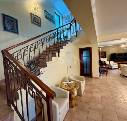 Casa, 6 rooms, 260 mp Ilfov/Mogosoaia