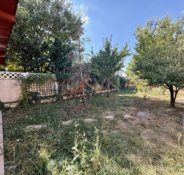 Casa, 6 rooms, 260 mp Ilfov/Mogosoaia