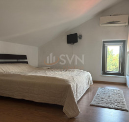 Casa, 6 rooms, 272 mp Ilfov/Otopeni