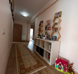 Casa, 6 rooms, 283 mp Ilfov/Otopeni