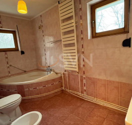 Casa, 6 rooms, 362 mp Ilfov/Snagov