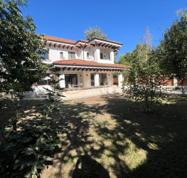 Casa, 6 rooms, 370 mp Bucuresti/Iancu Nicolae